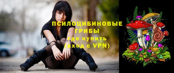 дмт Алзамай