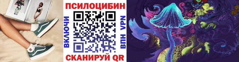 Псилоцибиновые грибы Cubensis Багратионовск